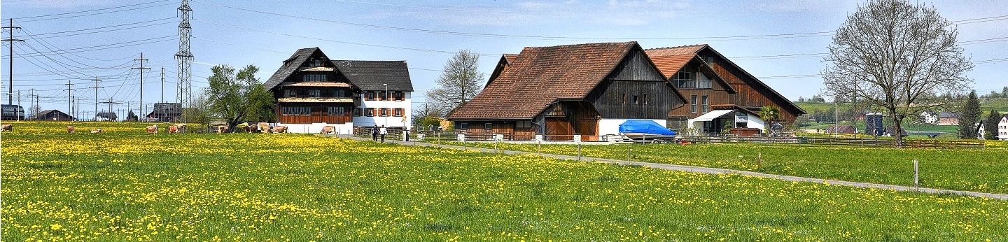 Einwohnerverein Schübelbach